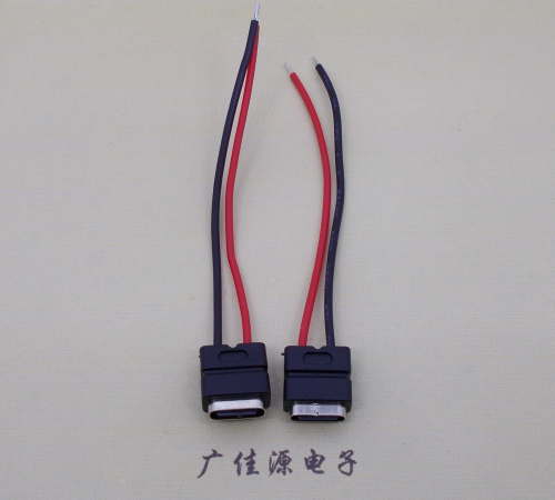 株洲type c2p防水母座焊线式带线注塑成型带接线端子/不带接线端子充电连接器